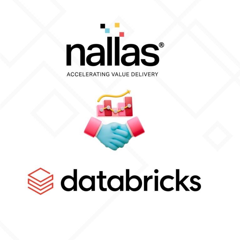 Databricks Partners