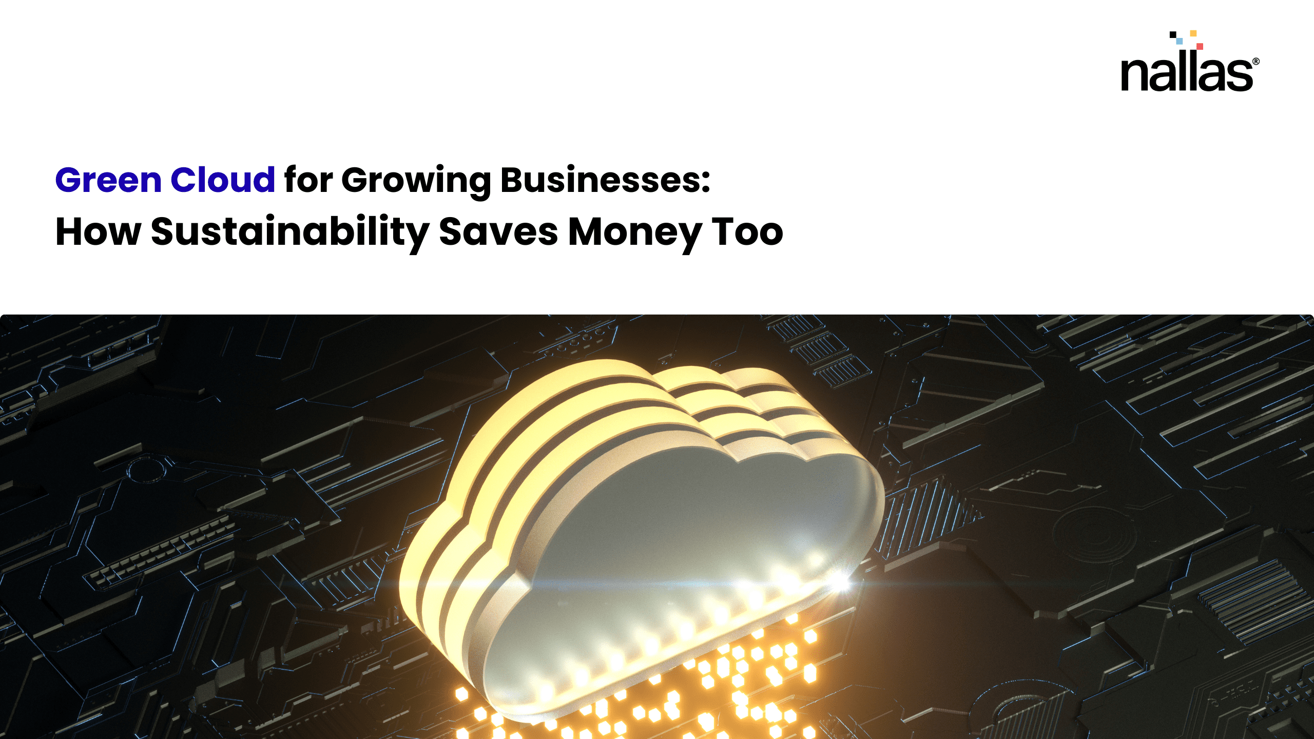 Green Cloud for Growing Businesses: How Sustainability Saves Money Too